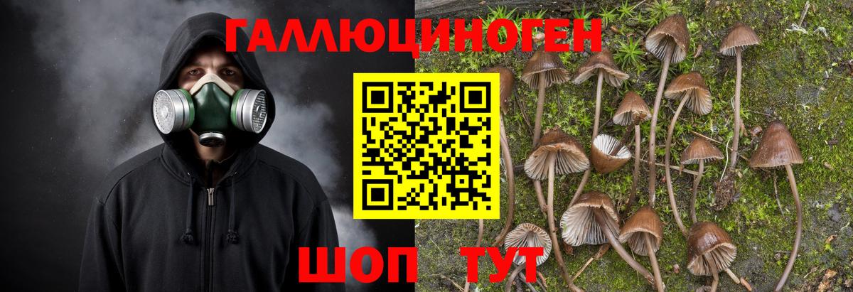 Псилоцибиновые грибы GOLDEN TEACHER Ростов Великий